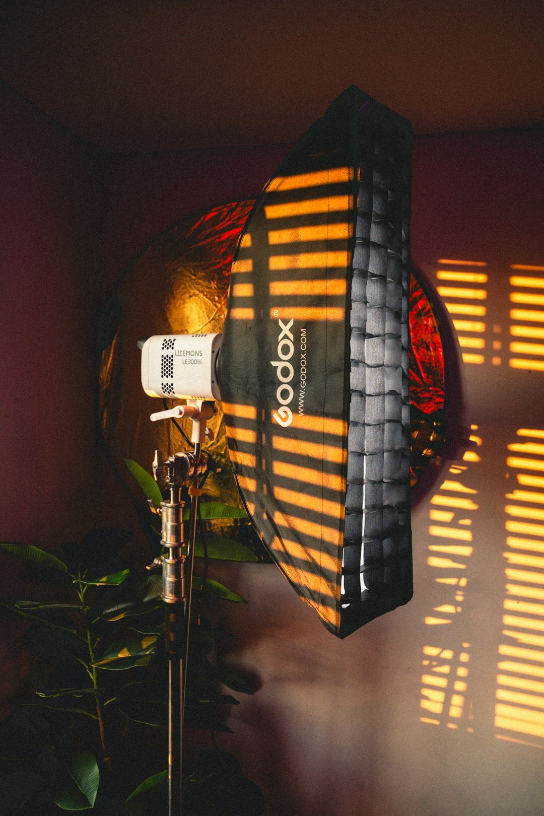Studio lighting rig with softbox lights